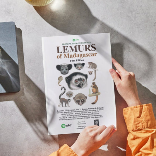 ‘Lemurs of Madagascar’ Field Guide, Fifth Edition