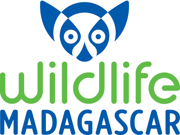 Wildlife Madagascar Store