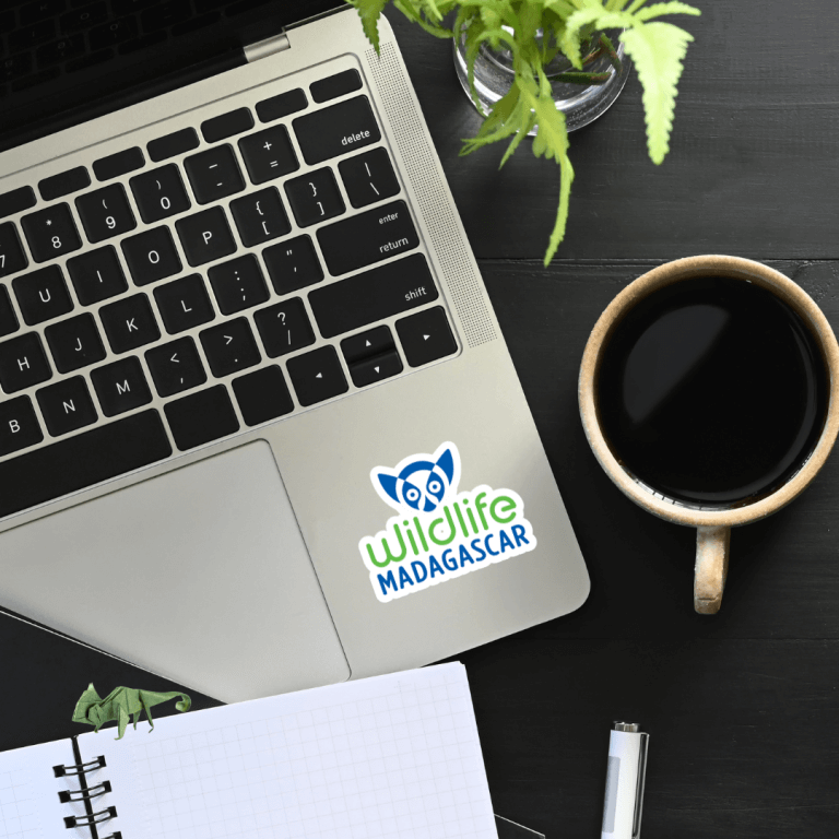 Wildlife Madagascar Logo Sticker