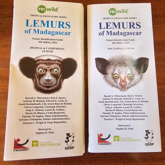 Two copies of the 'Lemurs of Madagascar' field guide book by 're:Wild' are displayed flat on a brown wooden surface. The top copy shows a white cover with a lemur illustration, while the bottom copy shows a beige cover with a different lemur illustration.